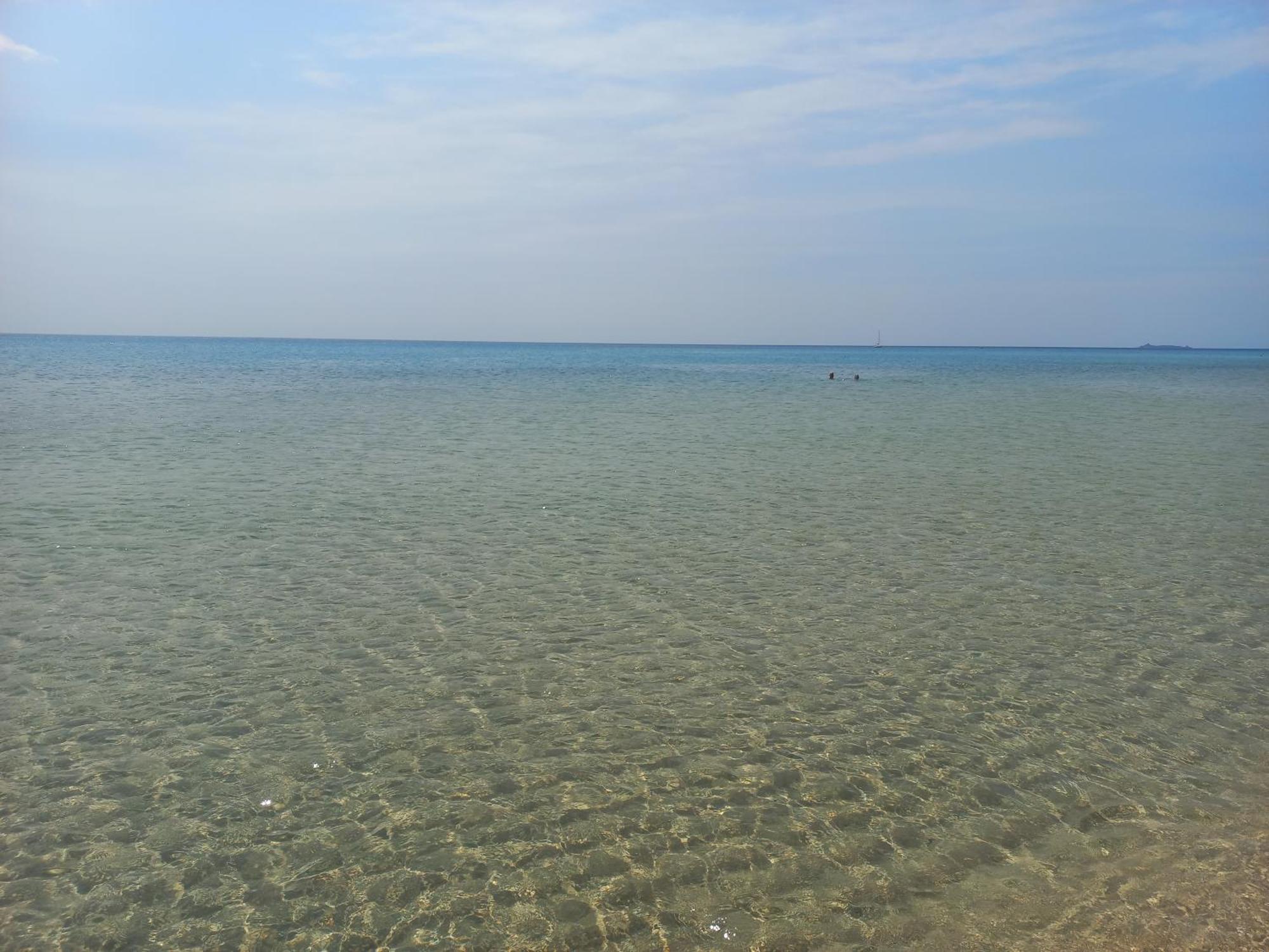 Residenza Parco Degli Ulivi Villa Villamassargia Dış mekan fotoğraf